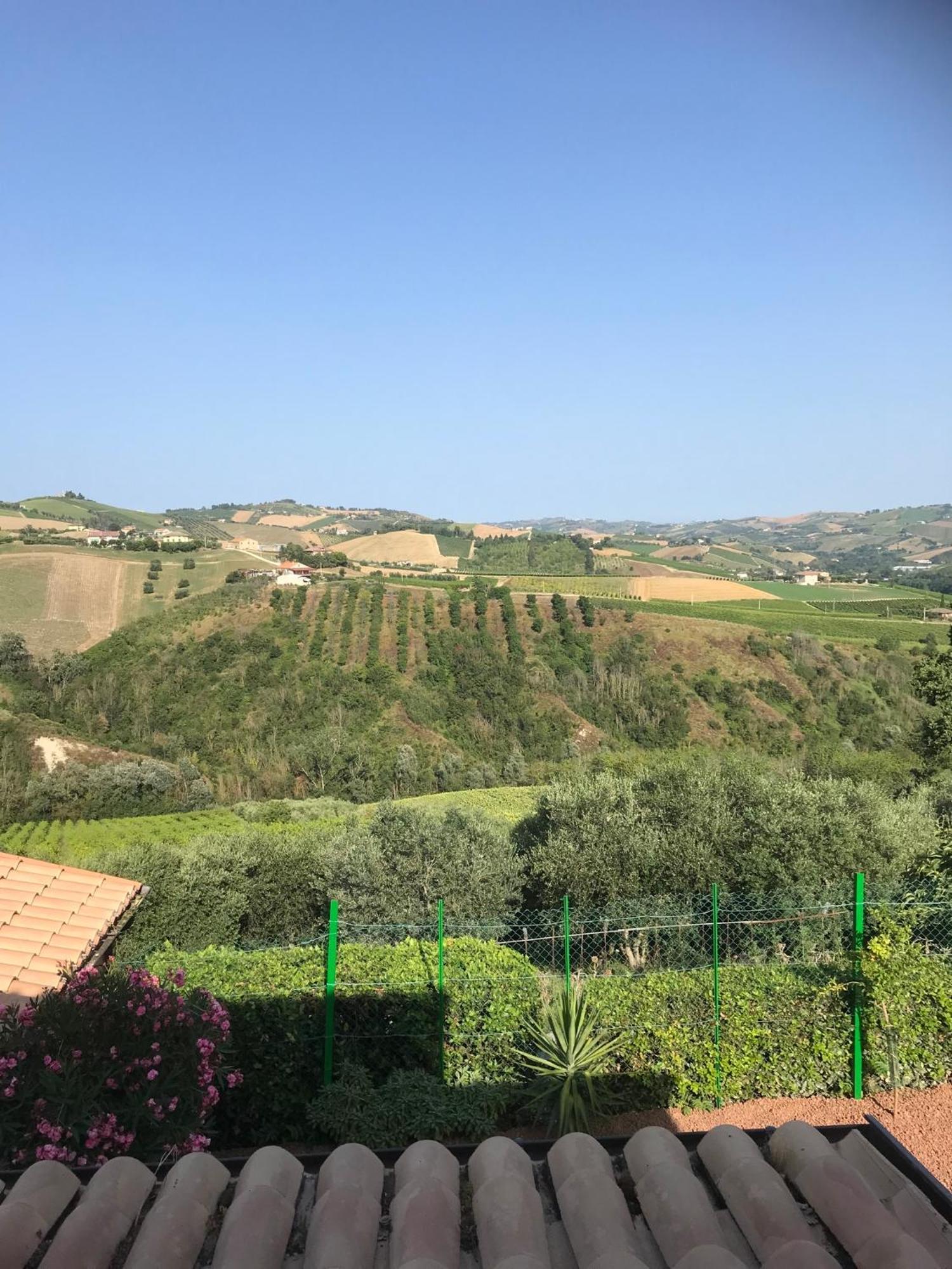Agriturismo Cerquatonda Montalto delle Marche Exterior photo