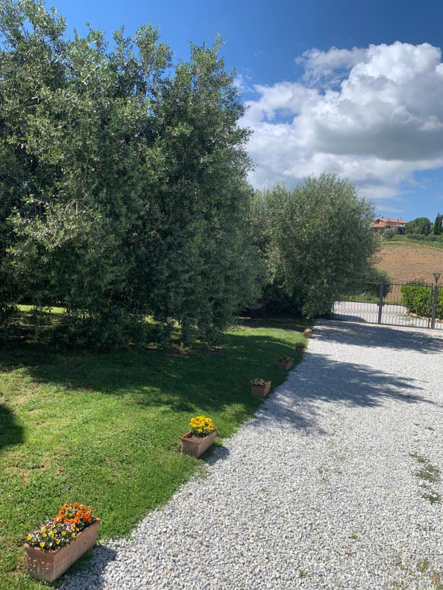 Agriturismo Cerquatonda Montalto delle Marche Exterior photo